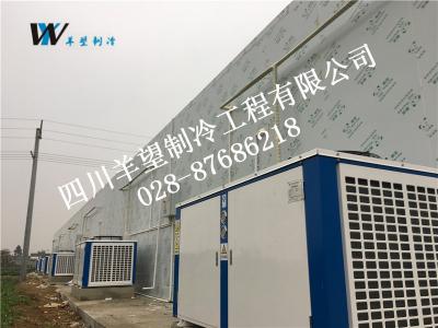 青白江玉虹水產(chǎn)養(yǎng)殖 保鮮庫(kù) 